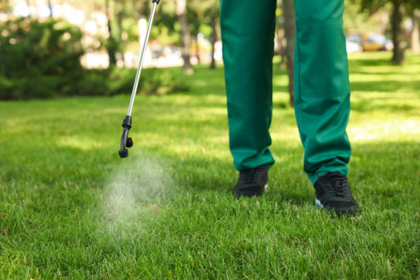 Best Affordable Pest Control Services  in Parker, TX