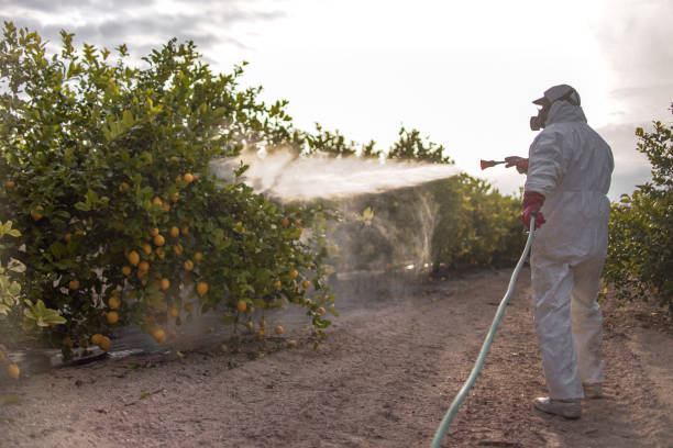 Best Pest Control Near Me  in Parker, TX