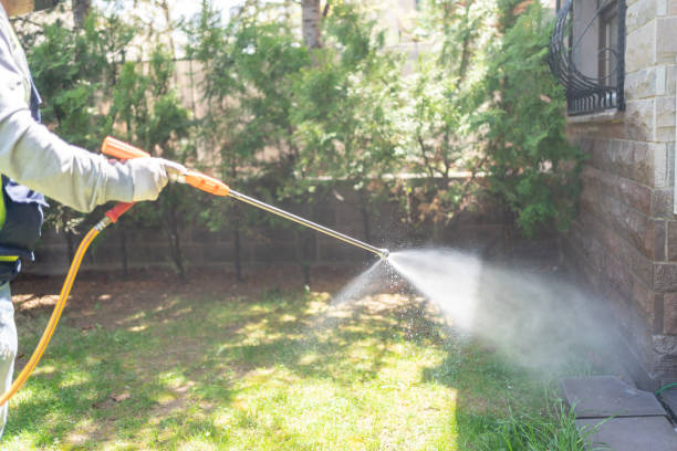 Best Flea Control Services  in Parker, TX