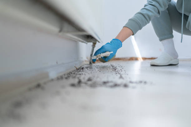 Best Affordable Pest Control Services  in Parker, TX