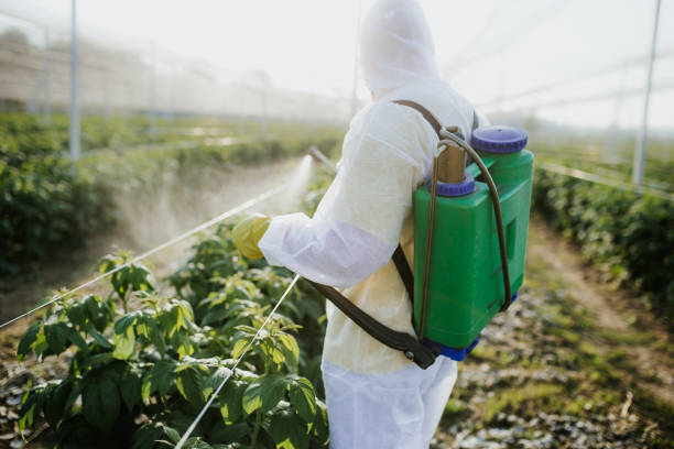 Professional Pest Control in Parker, TX
